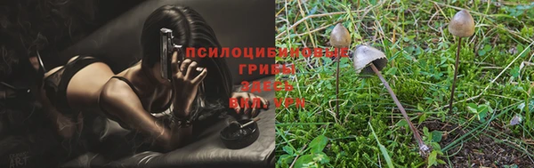хмурый Алексеевка