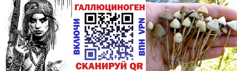 Галлюциногенные грибы MAGIC MUSHROOMS  продажа наркотиков  Суворов 